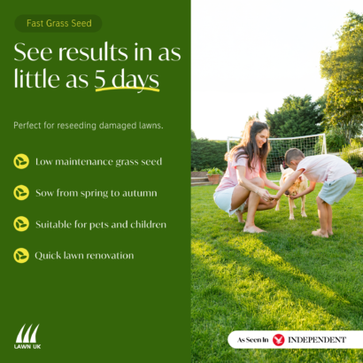Fast Grass - Image 4